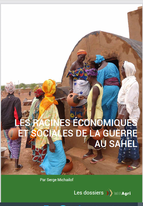 Thumbnail The economic and social roots of the war in the Sahel