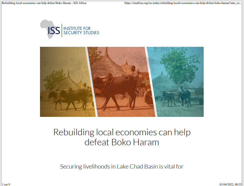 Thumbnail Rebuilding local economies can help defeat Boko Haram