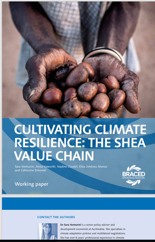 Thumbnail Cultivating climate resilience: the Shea value chain