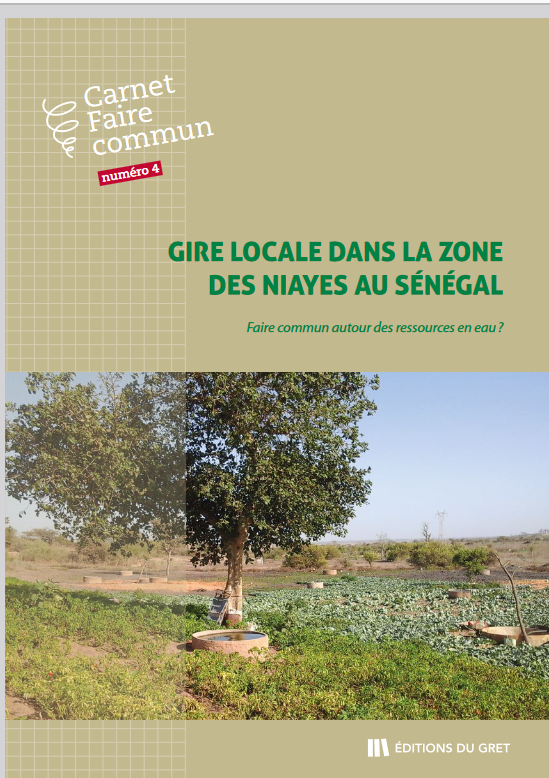 Thumbnail Gire locale dans la zone des Niayes au Sénégal : faire commun autour des ressources en eau ?