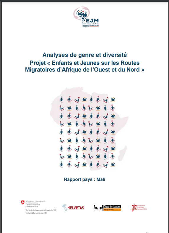 Thumbnail Mali: Gender and diversity analyses, Project