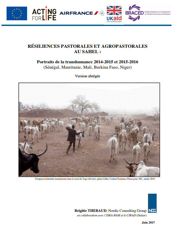 Thumbnail Pastoral and agro-pastoral resilience in the Sahel