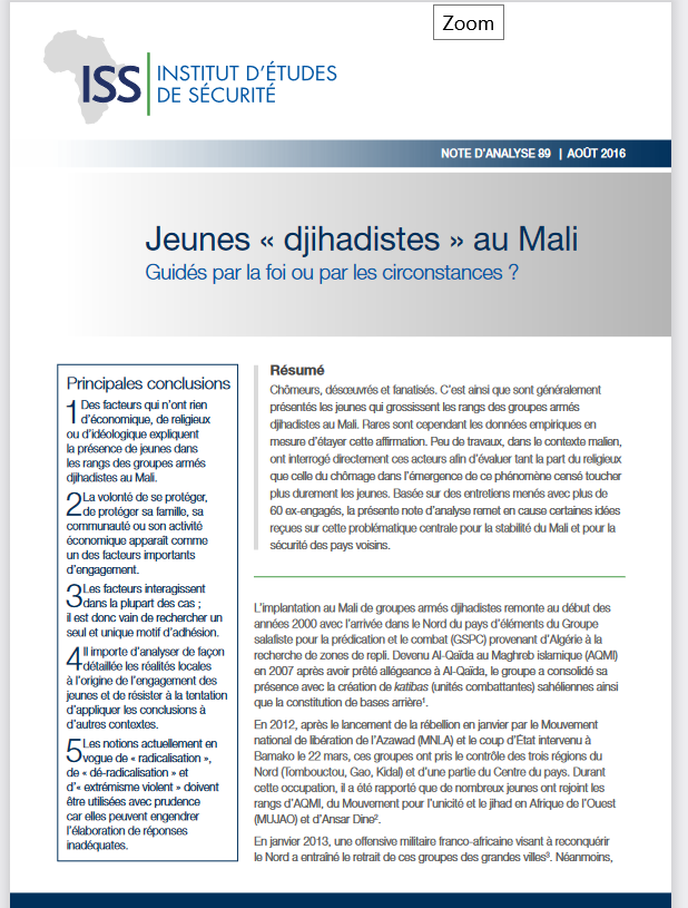Miniature Jeunes « djihadistes » au Mali : guidés par la foi ou par les circonstances ?