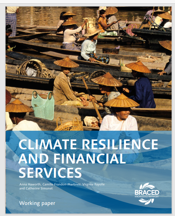Miniature Climate resilience and financial services: Lessons from Mali, Myanmar and Ethiopia