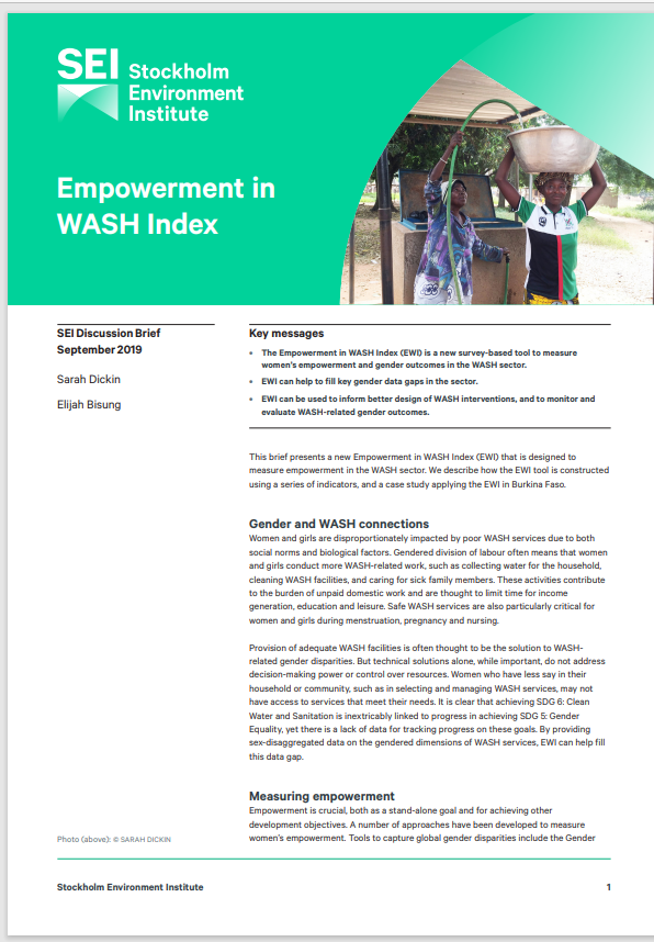 Miniature Empowerment in WASH Index in Burkina Faso