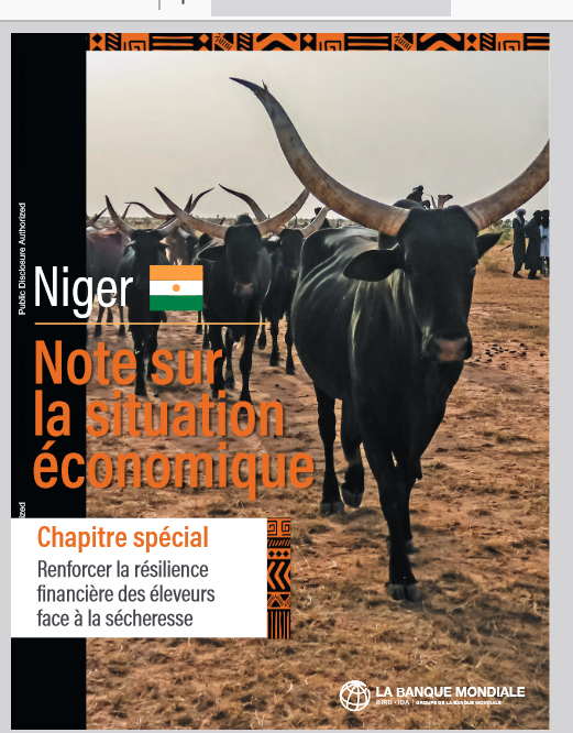Miniature Note sur la situation économique au Niger : renforcer la résilience financière des éleveurs face à la sécheresse