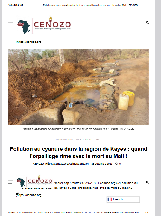 Miniature Pollution au cyanure dans la région de Kayes : quand l’orpaillage rime avec la mort au Mali !