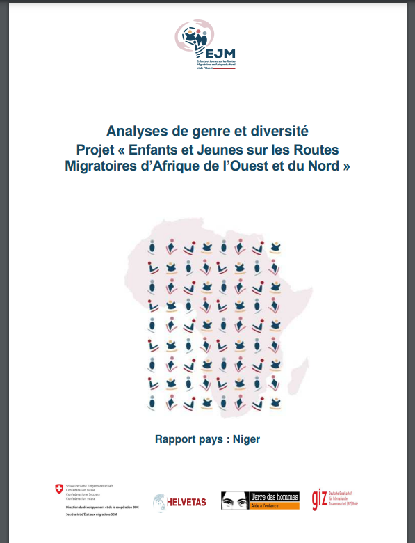 Miniature Niger: Analyses de genre et diversité, Projet