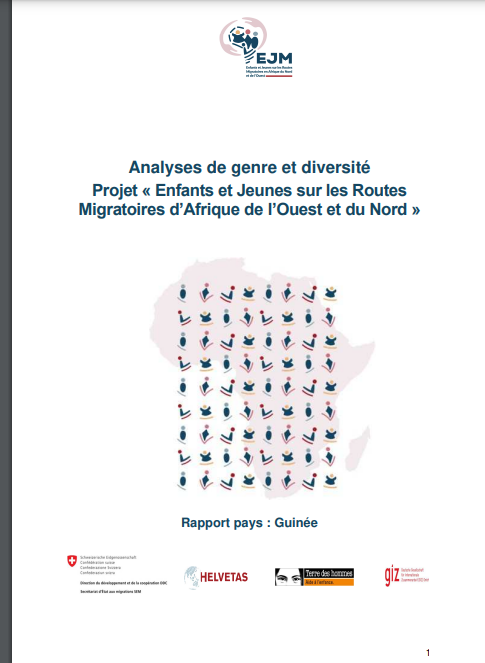 Miniature Guinée: Analyses de genre et diversité, Projet