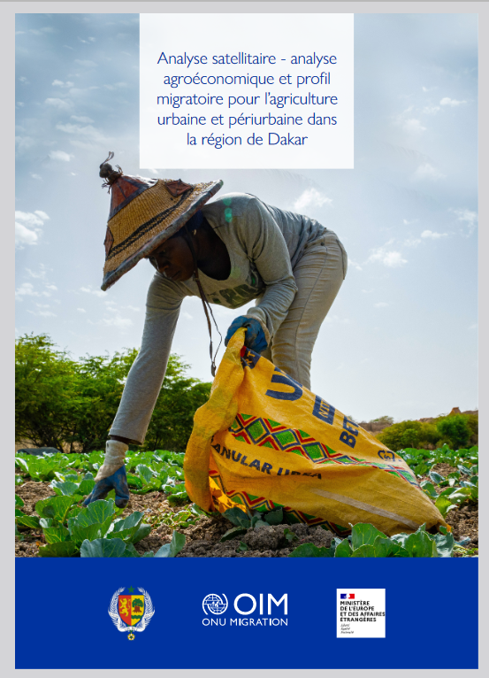 Miniature Analyse agroéconomique et profil migratoire pour l’agriculture urbaine et périurbaine dans la région de Dakar