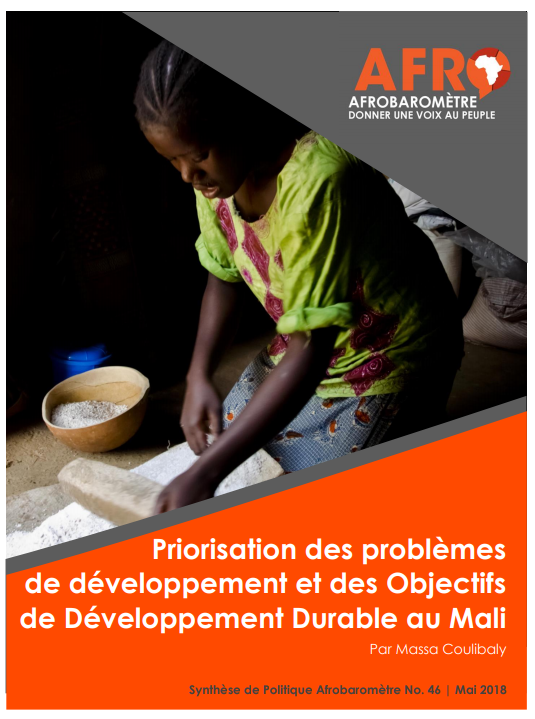 Miniature Priorisation des problèmes  de développement et des Objectifs  de Développement Durable au Mali